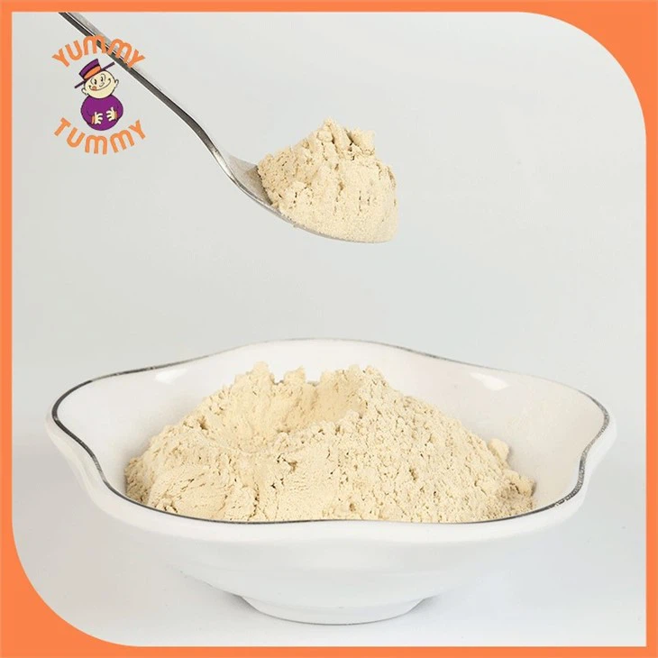 garlic powder B grade (1)